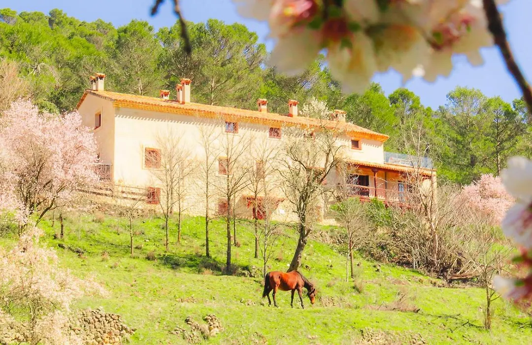 Casa Rural Mirabueno-1